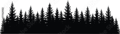 Dense pine forest silhouette, black and white nature vector art, coniferous tree landscape, wilderness scene for outdoor design