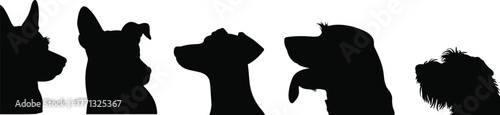 Silhouette of different dog breeds side profile, pet heads vector illustration, animal diversity concept, black outline artwork for design and decoration