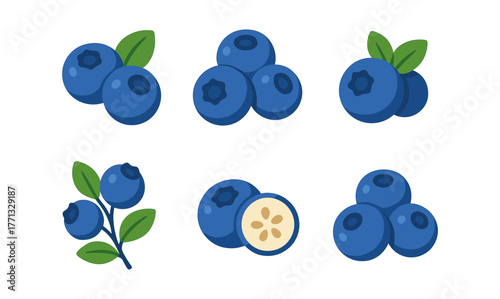 Fresh blueberry set on white background with flat style design