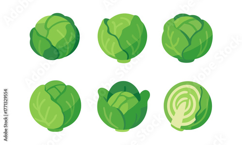 Cabbage variations in modern flat design