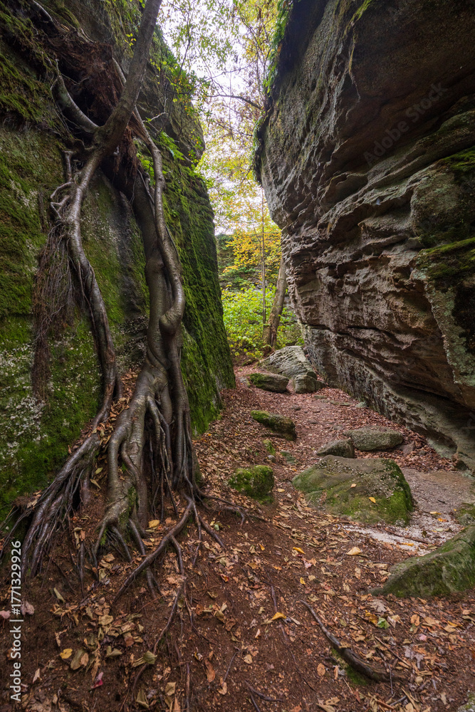 Obraz premium Rock City Park Olean New York, Giant Rock Formations and Scenic Overlook