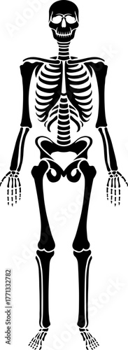 chess pawn vector illustration