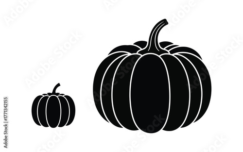 Two Pumpkins, One Large and One Small, Isolated on White