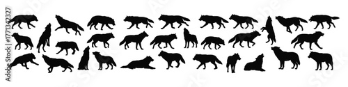 Silhouettes of Wolves in Various Poses A Collection of Wildlife Imagery