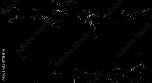Evergreen Tree Branches Silhouette Against Dark Backdrop, Symbolizing Winter, Christmas, or Forestry Industry Applications, Suitable for Presentations, Modern Marketing Materials, and Website Backgrou