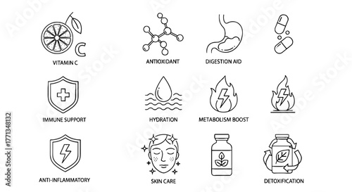 Illustrations of Vitamin C and Antioxidant Benefits Promoting Healthy Lifestyle for Digestion Aid and Immune Support Against Inflammation, Skin Care Detoxification, Hydration, Modern Medicine Metaboli