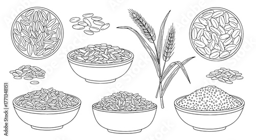 Wheat and Grain Bounty: Line Art Bowls and Stalks for Healthy Eating Illustrations, Outlined Cereal Grains and Wheatgrass for Nutrition-Focused Designs, Black and White Drawing for Education and Culin
