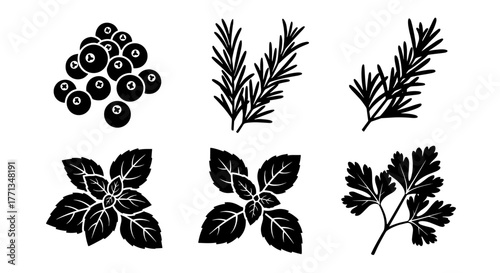 Assorted Culinary Herbs and Berries Illustration: Fresh Ingredients for Flavorful Recipes, Representing Natural Nutrition, Wellness, and Herbal Remedies, Ideal for Food Industry Marketing and Modern G