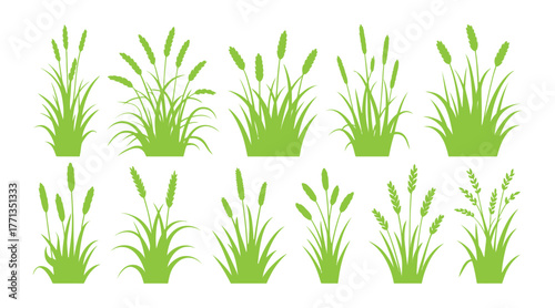 Grass and Plant Silhouette Icon Set – Green Landscape Elements Collection