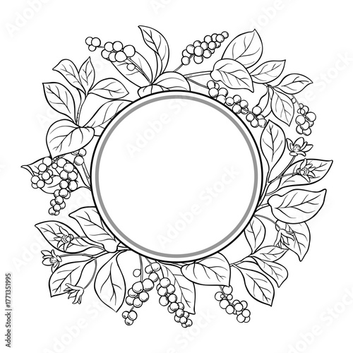 Schisandra Branch with Flowers, Berries and Leaves Outline Round Frame. Organic natural nutritional healthy food ingredient, vegetarian diet product. Vector isolated for design or decoration.