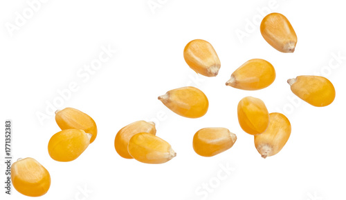 dynamic photograph of raw yellow popcorn kernels captured suspended in mid-air or falling rapidly, isolated against a uniform transparent background.