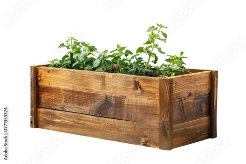 Plants in a wooden container on transparent background