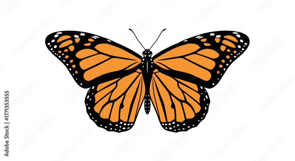 Naklejka premium Monarch Butterfly Isolated on White Background.