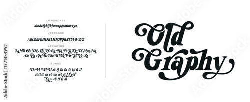 Elegant Font Uppercase Lowercase and Number. Classic Lettering Minimal Fashion Designs. Typography modern serif fonts regular decorative vintage concept. vector illustration