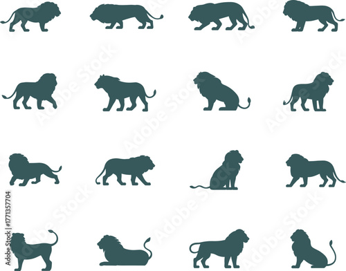 Lion silhouette collection, walking, sitting, standing, lying poses, wild animal icons, majestic feline shapes, flat vector illustration