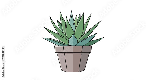 Potted Aloe Vera Plant Illustration.