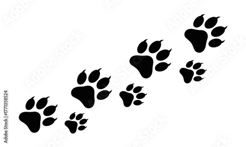 A vector illustration of a wild animal paw print trail. Black silhouette footprints of a wolf, dog, or cat walking, isolated on a white background