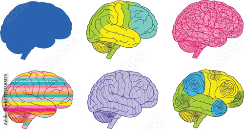 Brain illustration human brain anatomy brain health brain diagram art
