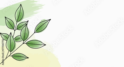 Elegant Botanical Illustration A Delicate Green Branch with Leaves on a Pastel Background