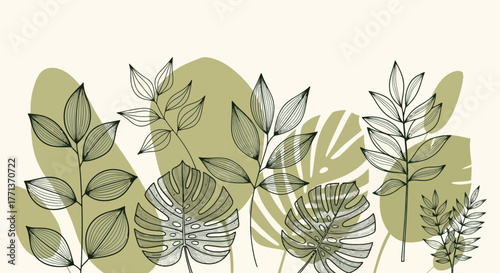 Delicate Green Foliage A Modern Botanical Illustration for Design and Decoration