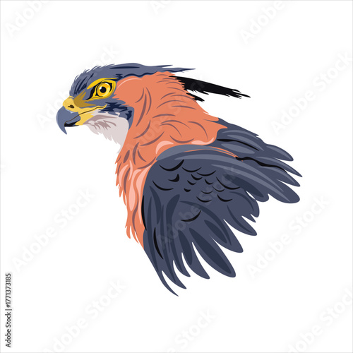 the beautiful face of a bird