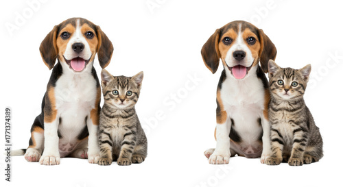 Three adorable 8-12 week old tri-color Beagle puppies with happy smiles and three cute tabby kittens with wide curious eyes, sitting closely on a bright white studio background, heartwarming pet