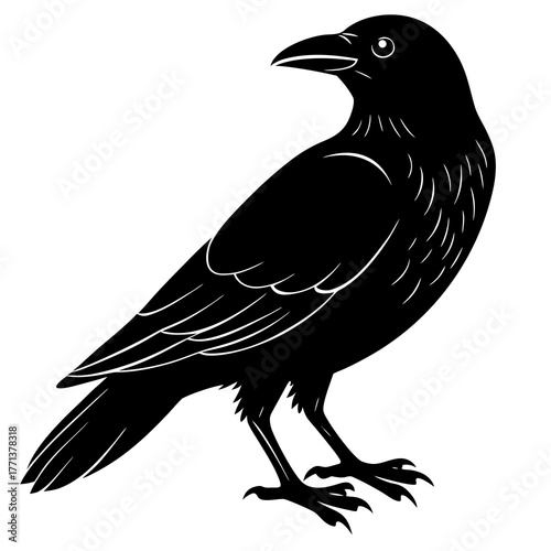 Stylized black silhouette of a raven perched on white background
