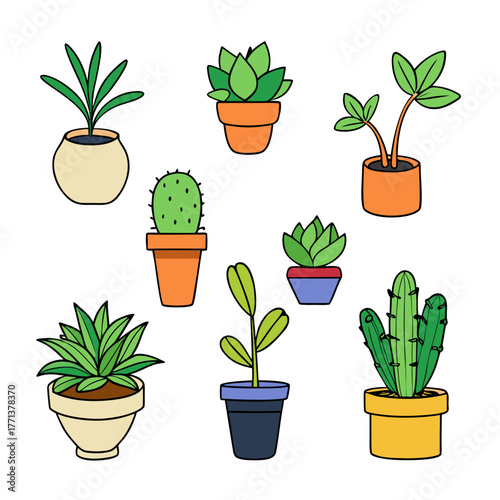 Collection of cute potted plants and cacti in various pots