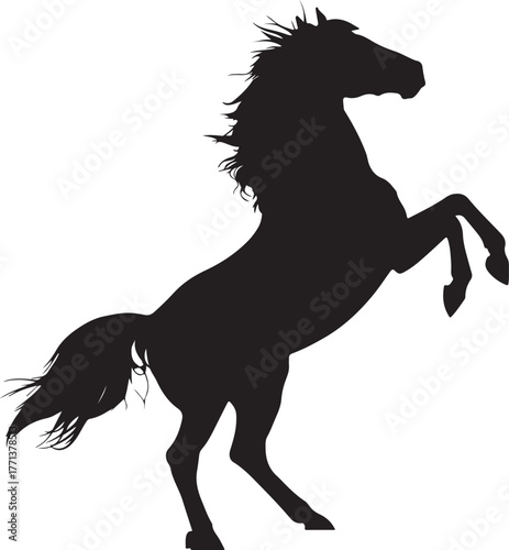 Black silhouette of a horse rearing up on its hind legs with a wild mane and tail against a white background