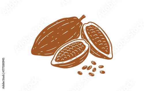 Cacao fruit doodle sketch. A hand-drawn silhouette of cocoa beans, an exotic plant on a plain background. Ingredient for chocolate food and drinks. Design for cards, logos, labels, prints and template