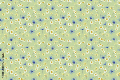Seamless vector floral pattern with white daisies, blue cornflowers, and tiny yellow wildflowers on a soft green background. Template for summer fabrics and nature-inspired design