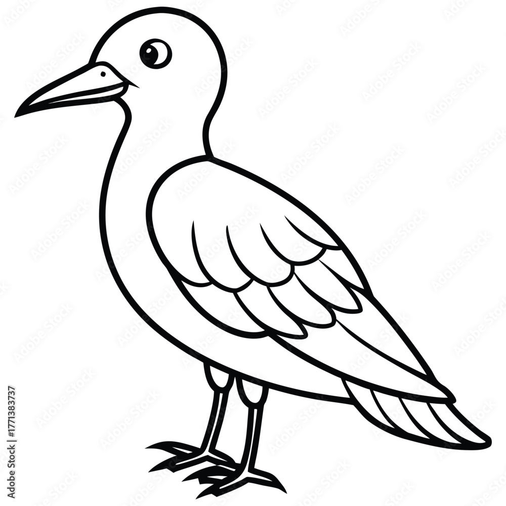 Fototapeta premium Bird,Bird vector,Bird design,Bird concept,Bird post,Bird cartoon,Bird template,Bird clipart,