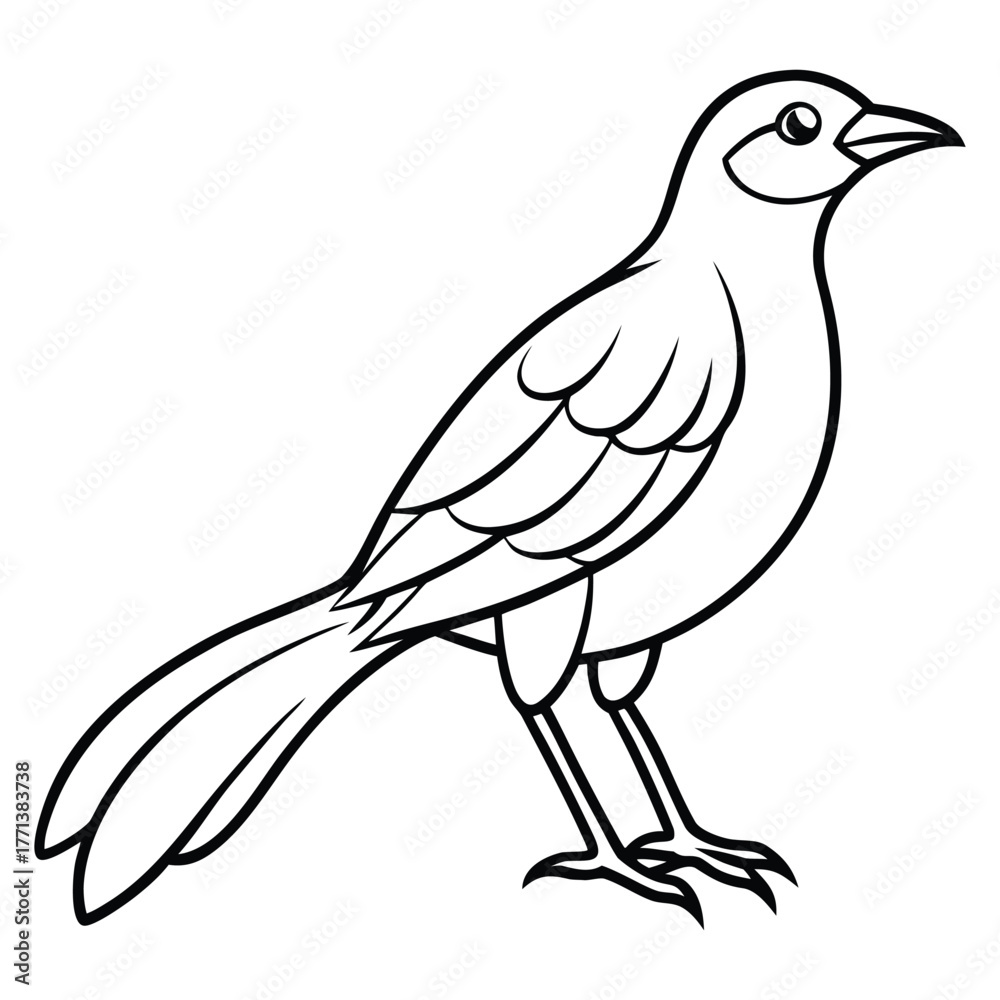 Obraz premium Bird Line Art Illustration,Simple Outline Wildlife Vector Drawing for Coloring Page,Bird,Bird vector,Bird design,Bird concept,Bird post,Bird cartoon,Bird template,Bird clipart,