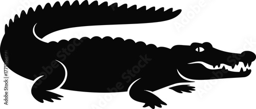 A stark black silhouette of a crocodile a powerful reptile presented as a clean graphic design isolated on white background
