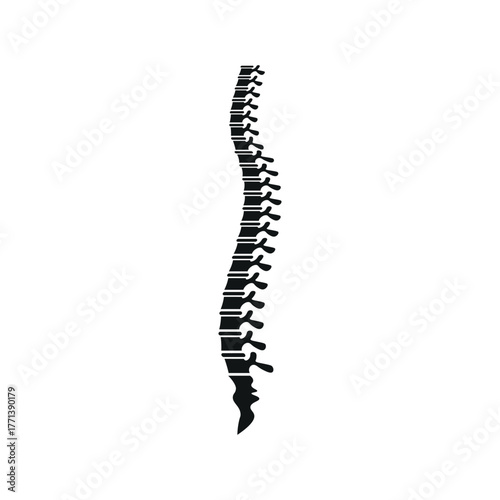 Spine Illustration