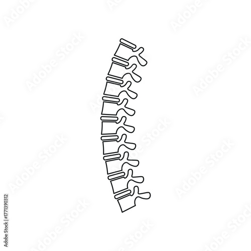 Spine Illustration