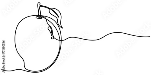Mango continuous one line drawing, in minimalist style isolated outline illustration. 