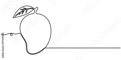 Mango continuous one line drawing, in minimalist style isolated outline illustration. 