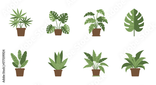 Potted houseplant collection clip art minimalist style illustration