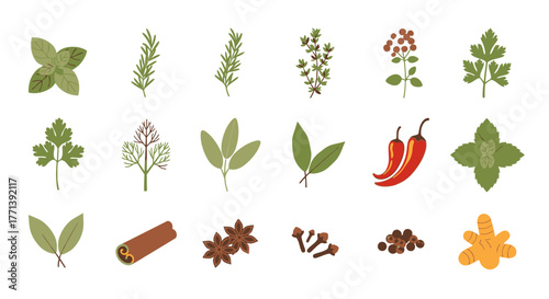 Culinary Herbs and Spices Assortment Vector Illustration