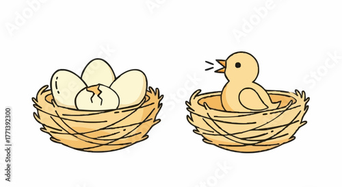 Bird Nests Eggs Hatching and a Chirping Chick - A Symbol of New Life
