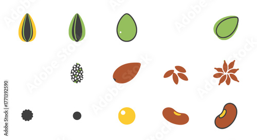 Diverse Vector Illustration Set of Seeds and Grains
