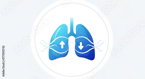 Illustration of human lungs with air flow arrows, representing respiratory health and the breathing process