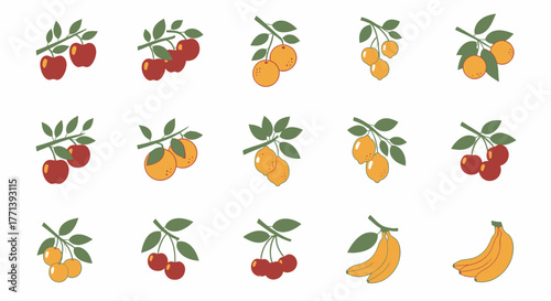 Assorted fruits on branches with leaves graphic vector set