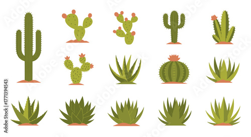 Desert Plants Assortment: Cacti and Succulents Flat Design Elements