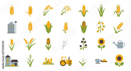 Agricultural Crop Flat Icons Vector Wheat Corn and Farm Elements