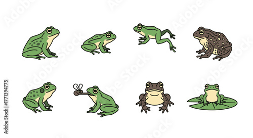 Cartoon Frogs Variety of Poses Illustrations Amphibians