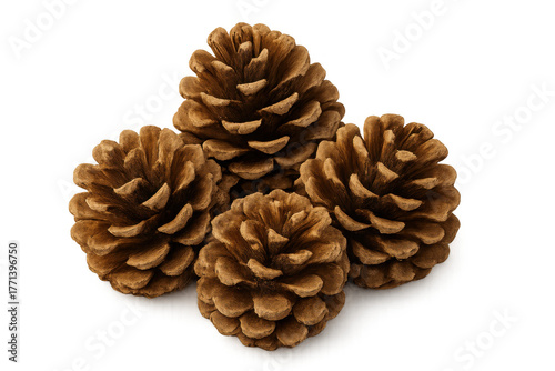 Pine cones group featuring natural brown color, celebrating autumn season and forest elements, transparent background
