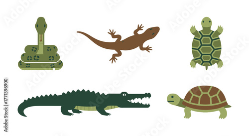 Graphic Vector Reptiles and Amphibians Set