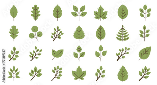 Variety of green stylized leaves and branches illustration on white background